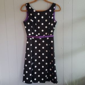 NWT White House Black Market Black & White Polka Dot Dress With Purple Belt
